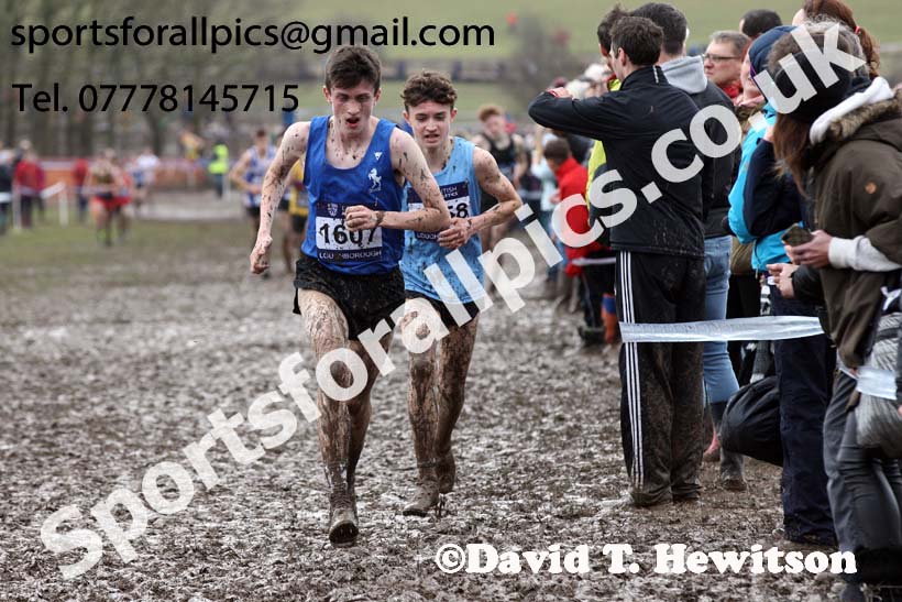 Boys under-15s 2018 British Inter Counties Cross Country Champs., Prestwold Hall, Loughborough. Photo: David T. Hewitson/Sports for All Pics